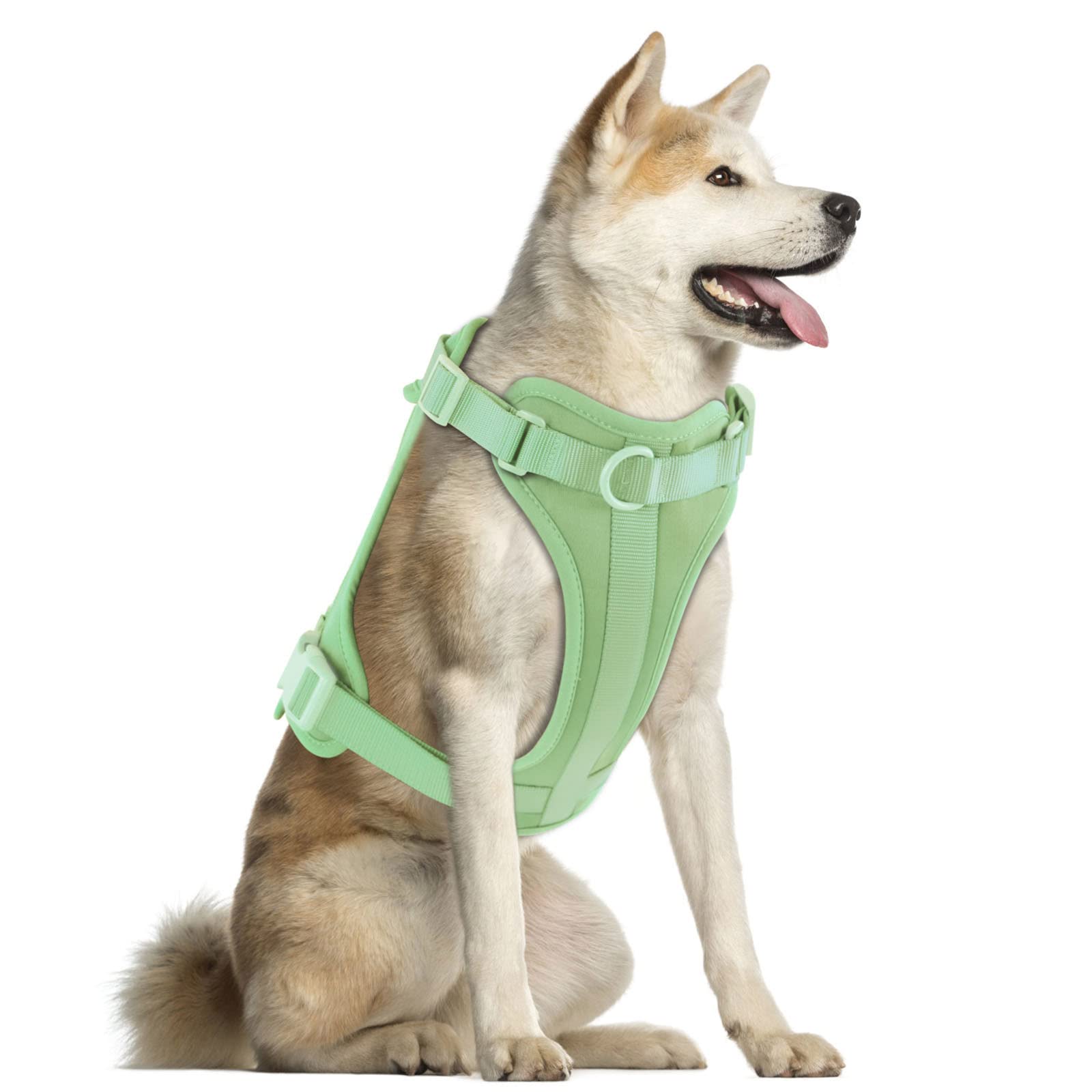 Wisedog arnés no tirones ligero verde salvia, para paseos sin tirar