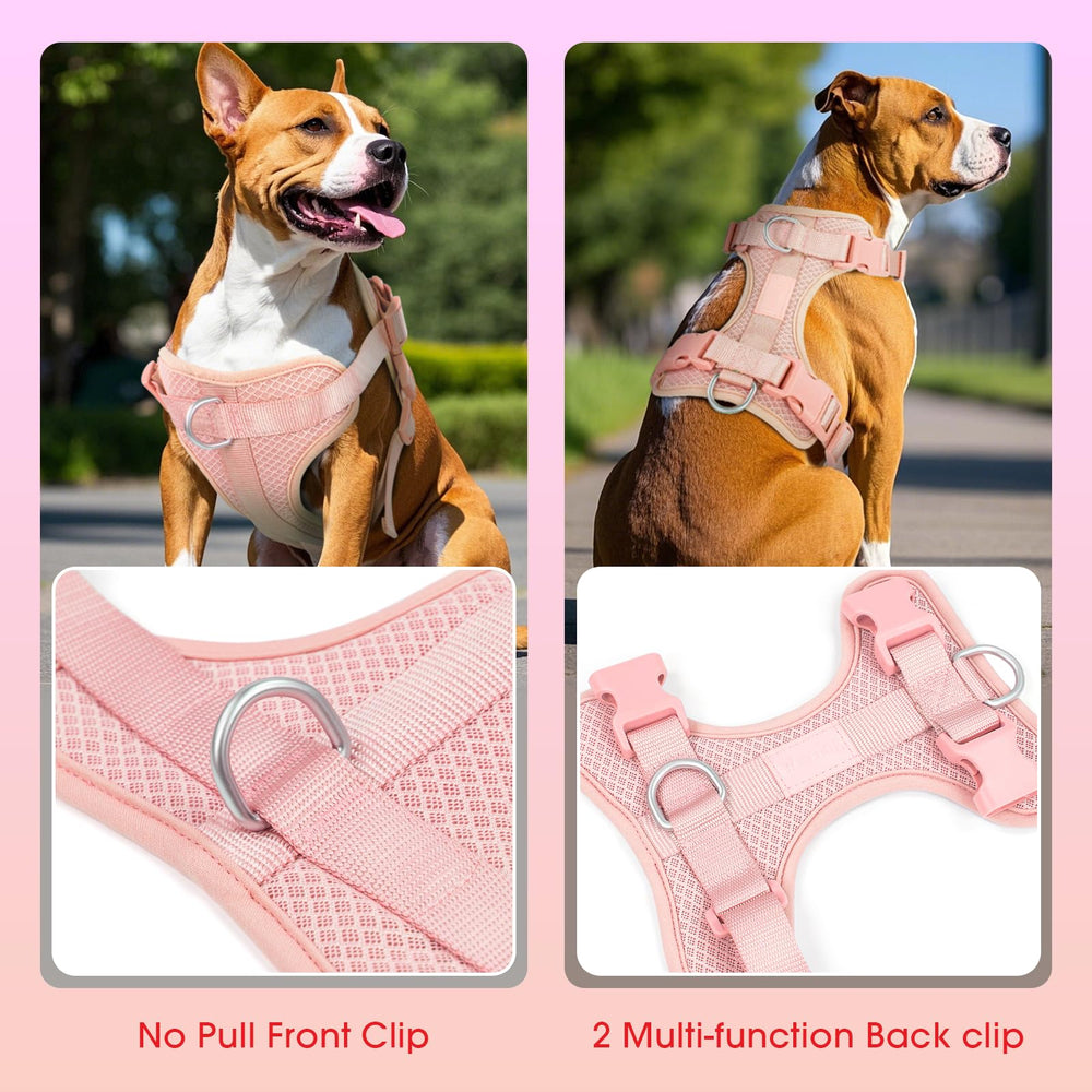 Arnés Wisedog con cuatro correas ajustables para un ajuste perfecto.