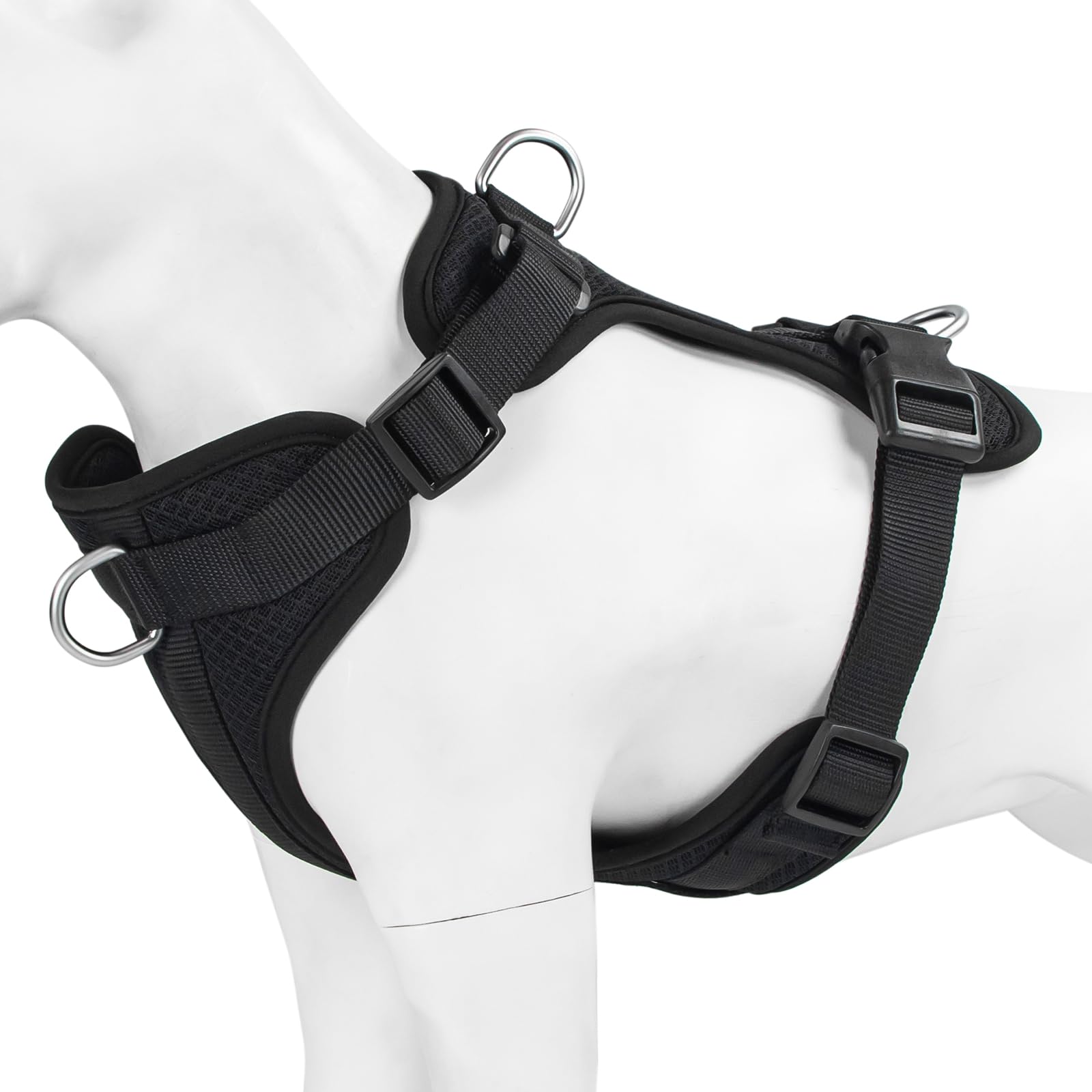 Guía de tallas Wisedog para encontrar la talla adecuada antes de comprar.