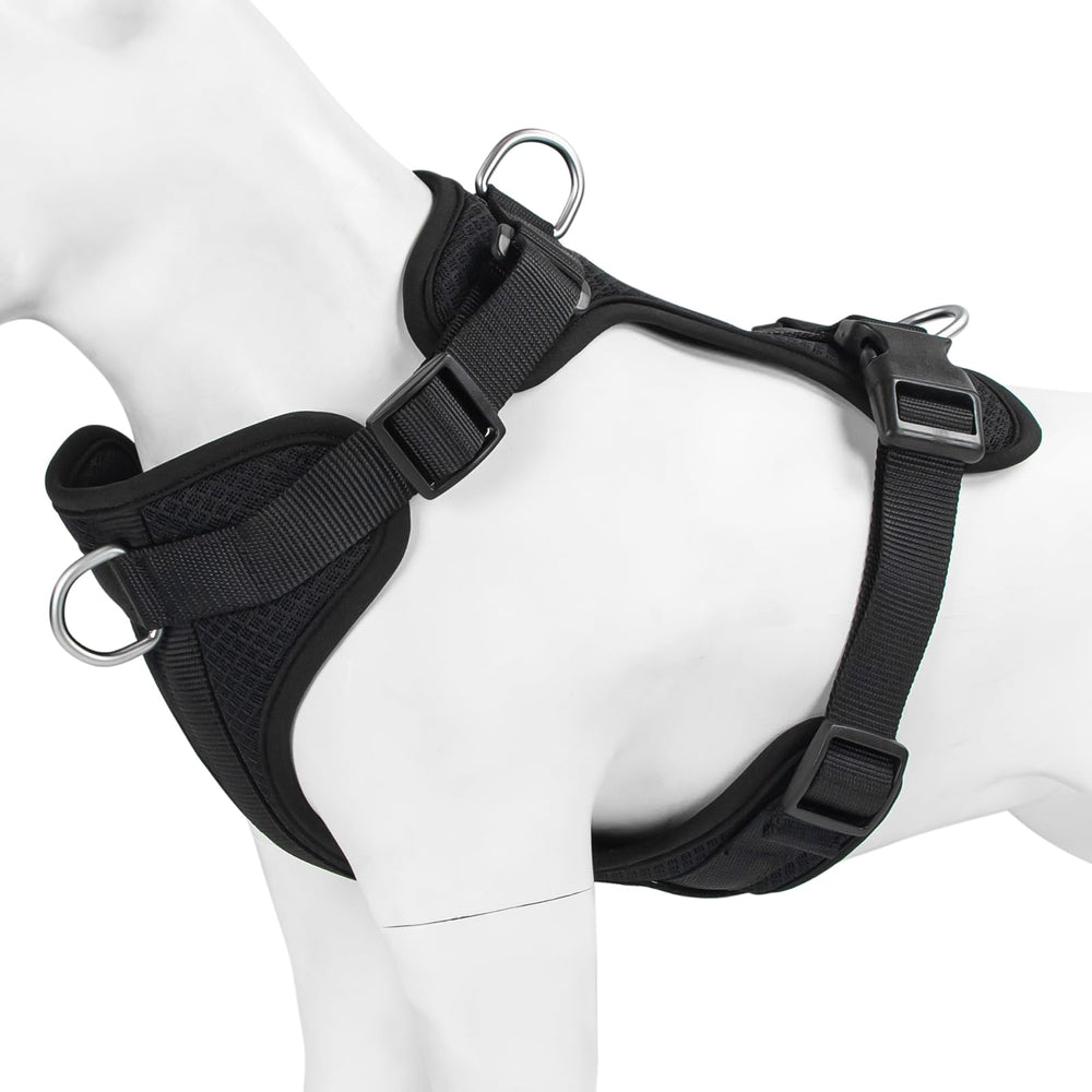 Guía de tallas Wisedog para encontrar la talla adecuada antes de comprar.