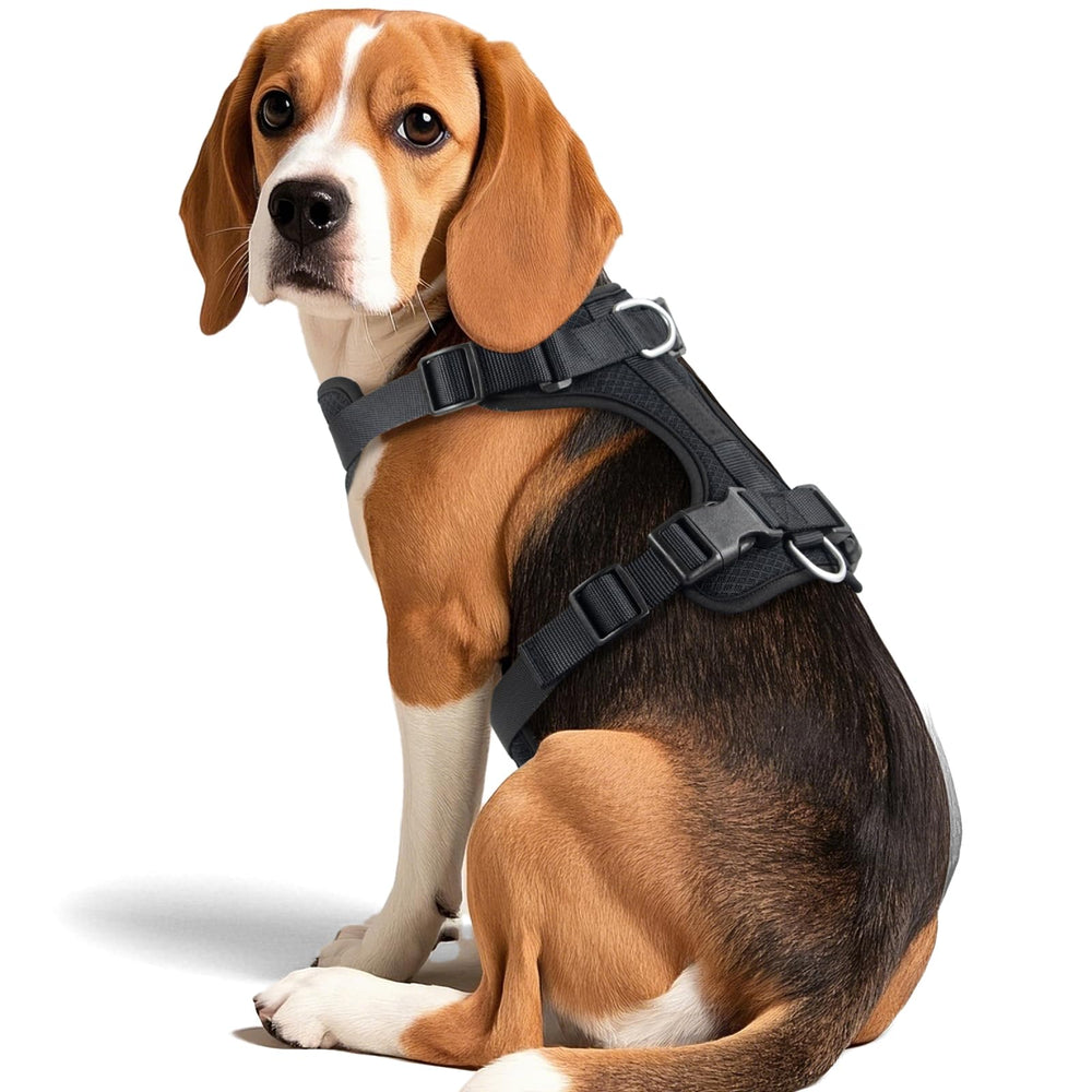 Arnés Wisedog fácil de lavar y mantener listo para la próxima aventura.