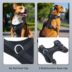 Arnés Wisedog adaptado en malla transpirable para comodidad diaria.
