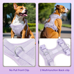 Arnés Wisedog con cuatro correas ajustables para ajuste perfecto