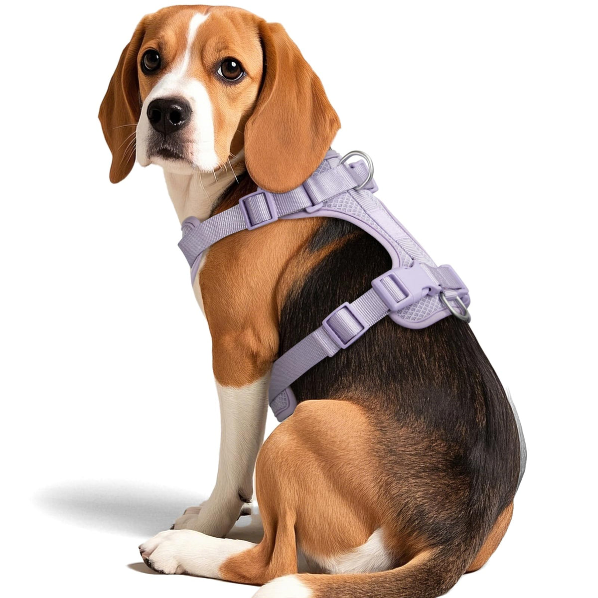 Arnés Wisedog con clip frontal para control suave durante paseos