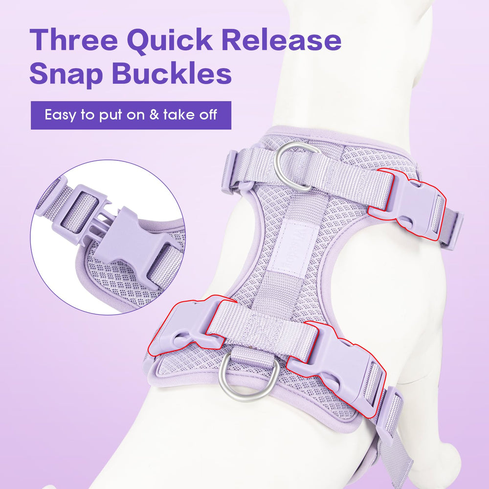 Arnés Wisedog con clip trasero para caminatas relajadas