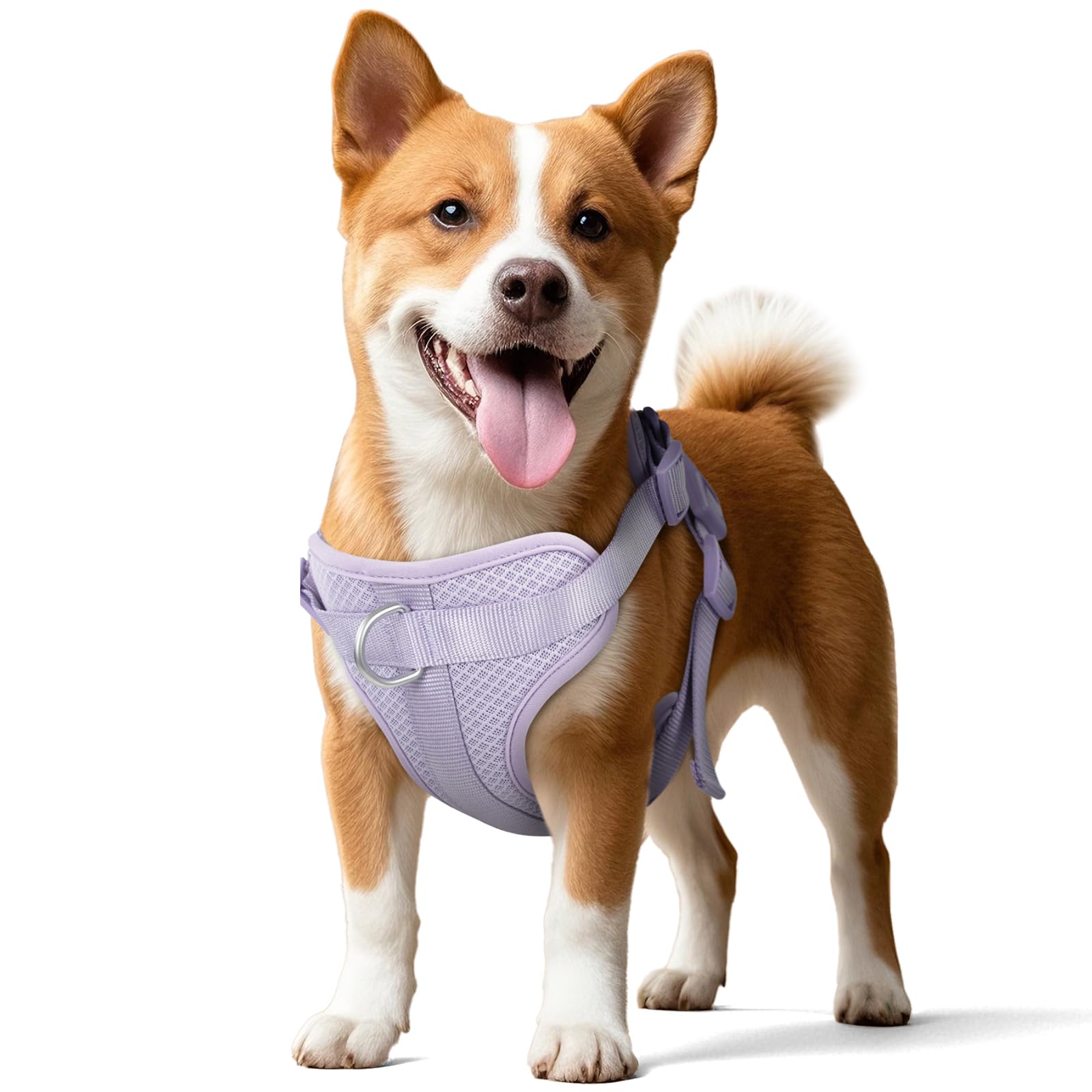Talla ajustable Wisedog para crecer con tu perro