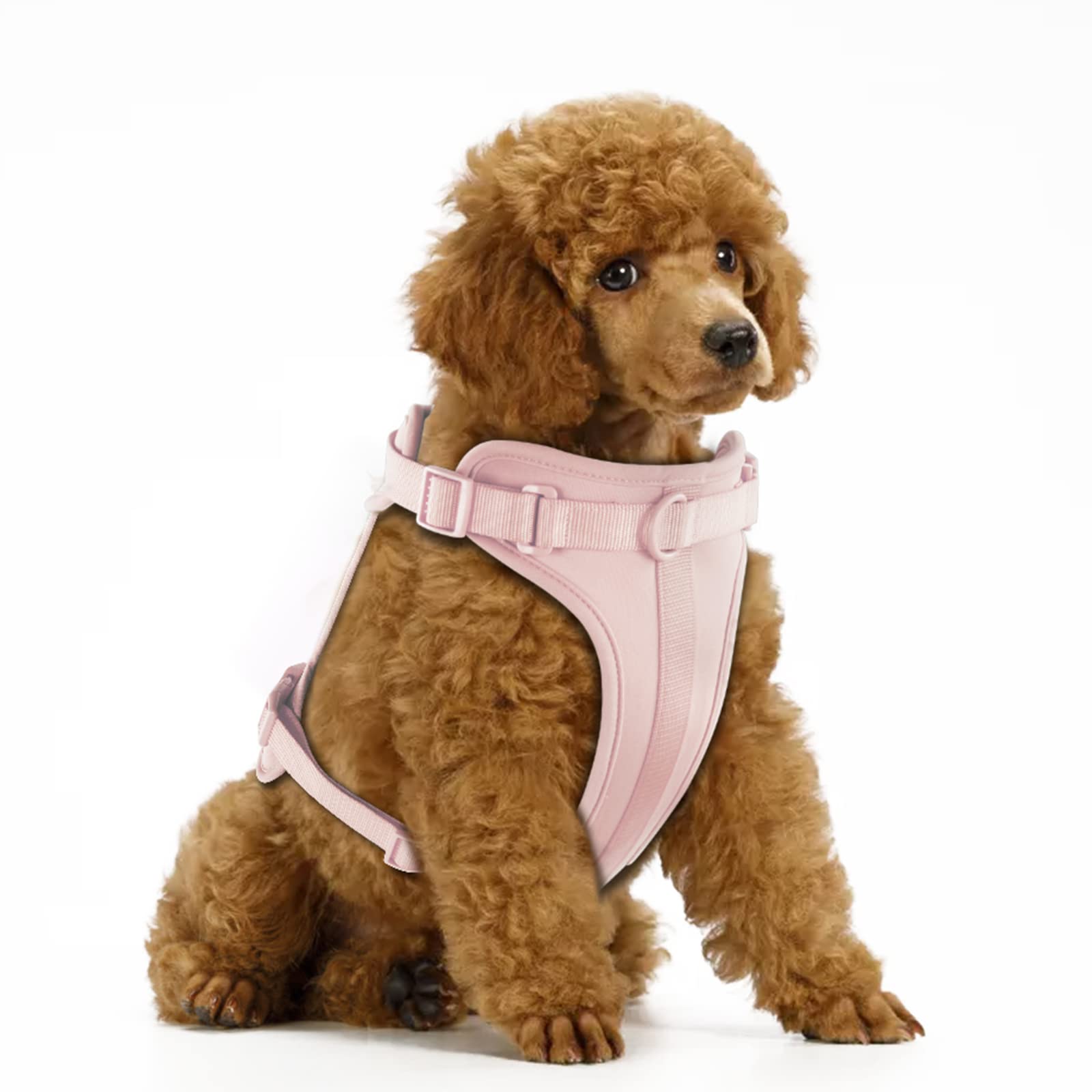 Wisedog arnés sin tirón con acolchado suave para paseos cómodos