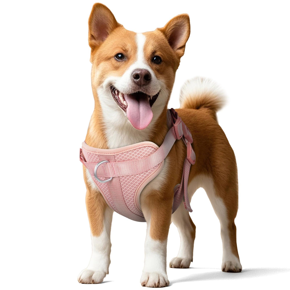 Talla media de Wisedog con ajuste cómodo para perros en crecimiento.