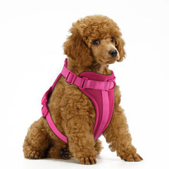 Wisedog arnés sin tirón con acolchado suave para paseos cómodos.