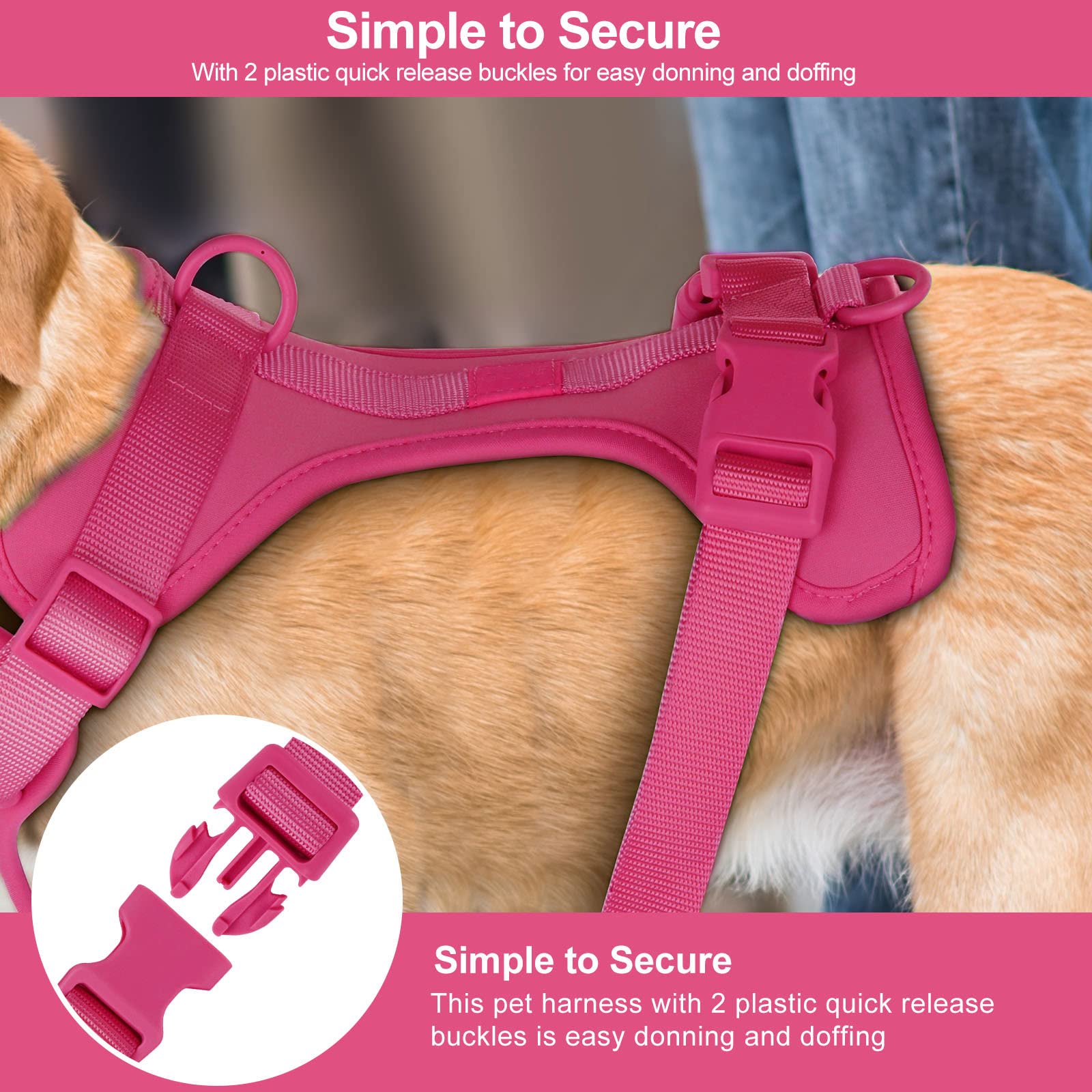 Wisedog arnés con guía de tallas para un ajuste seguro.