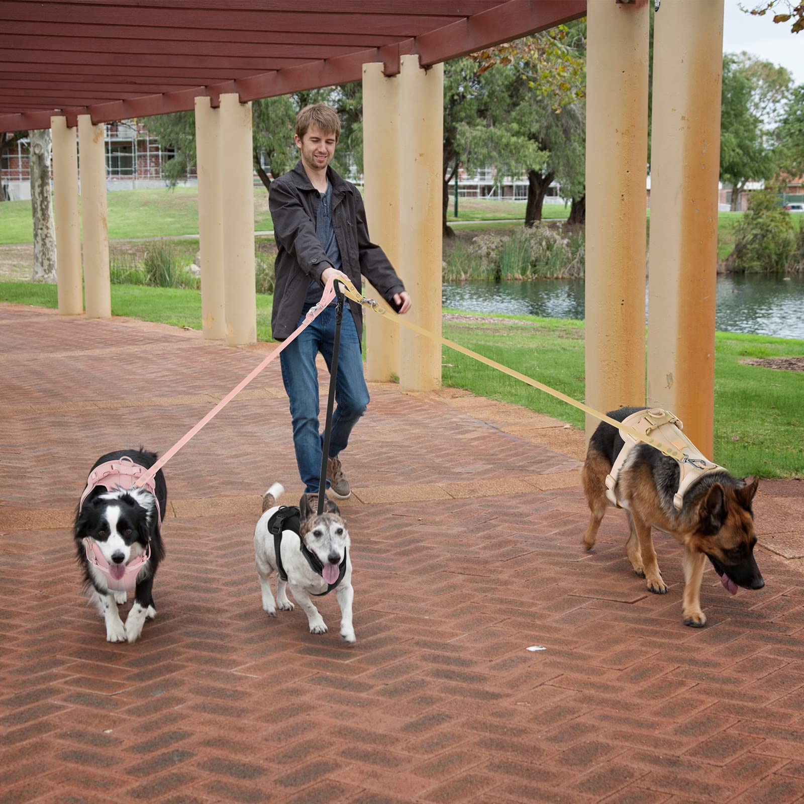 Wisedog ofrece varios colores para estilo y preferencia.