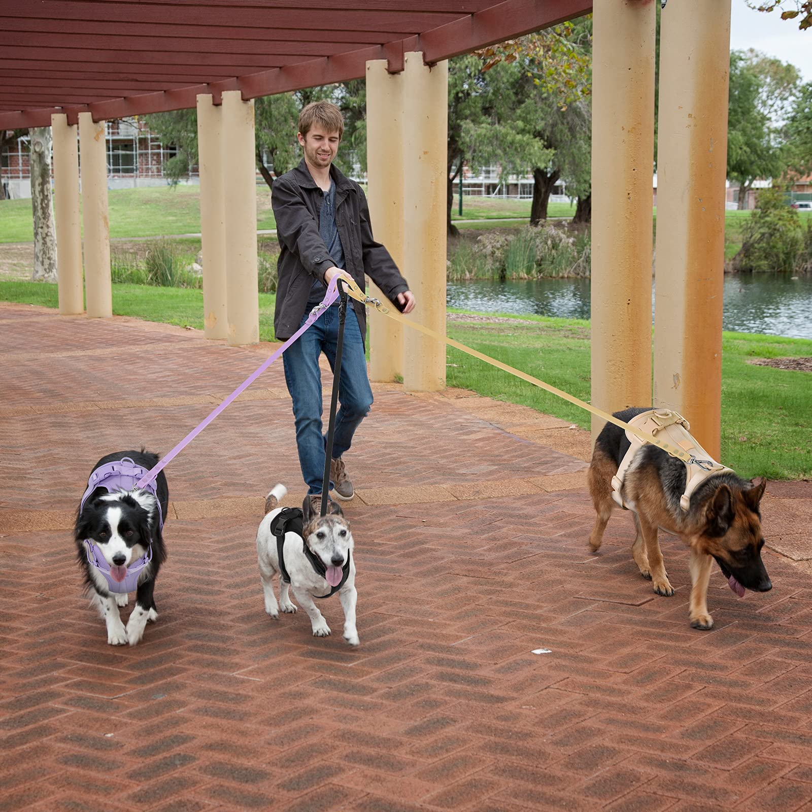 Arnés Wisedog disponible en varios colores y tallas.
