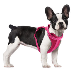 Wisedog arnés sin tirones con acolchado suave para paseos confortables