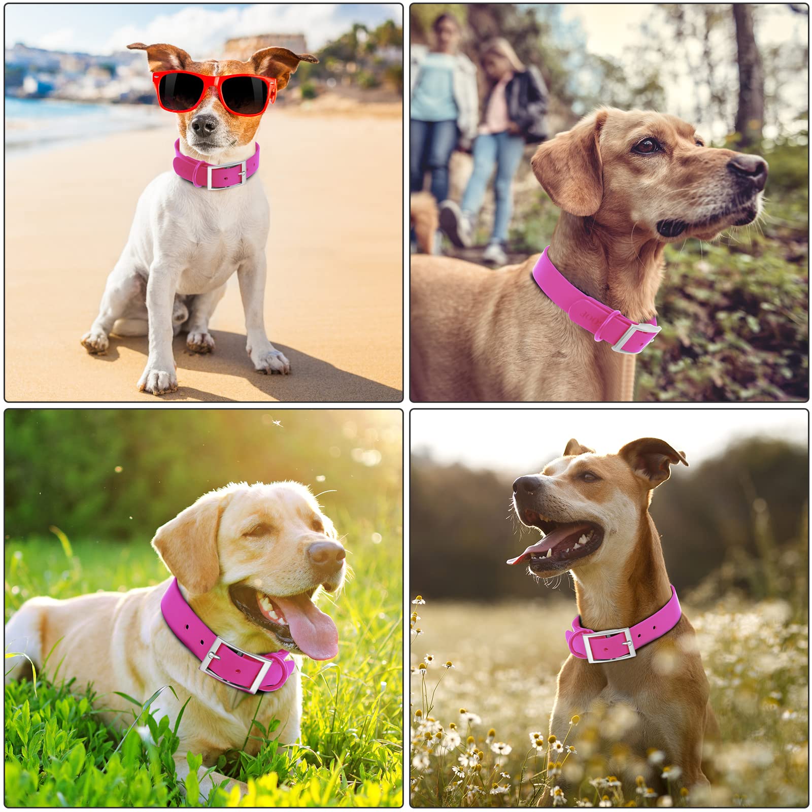 Guía de tallas Wisedog para ajuste cómodo y seguro.