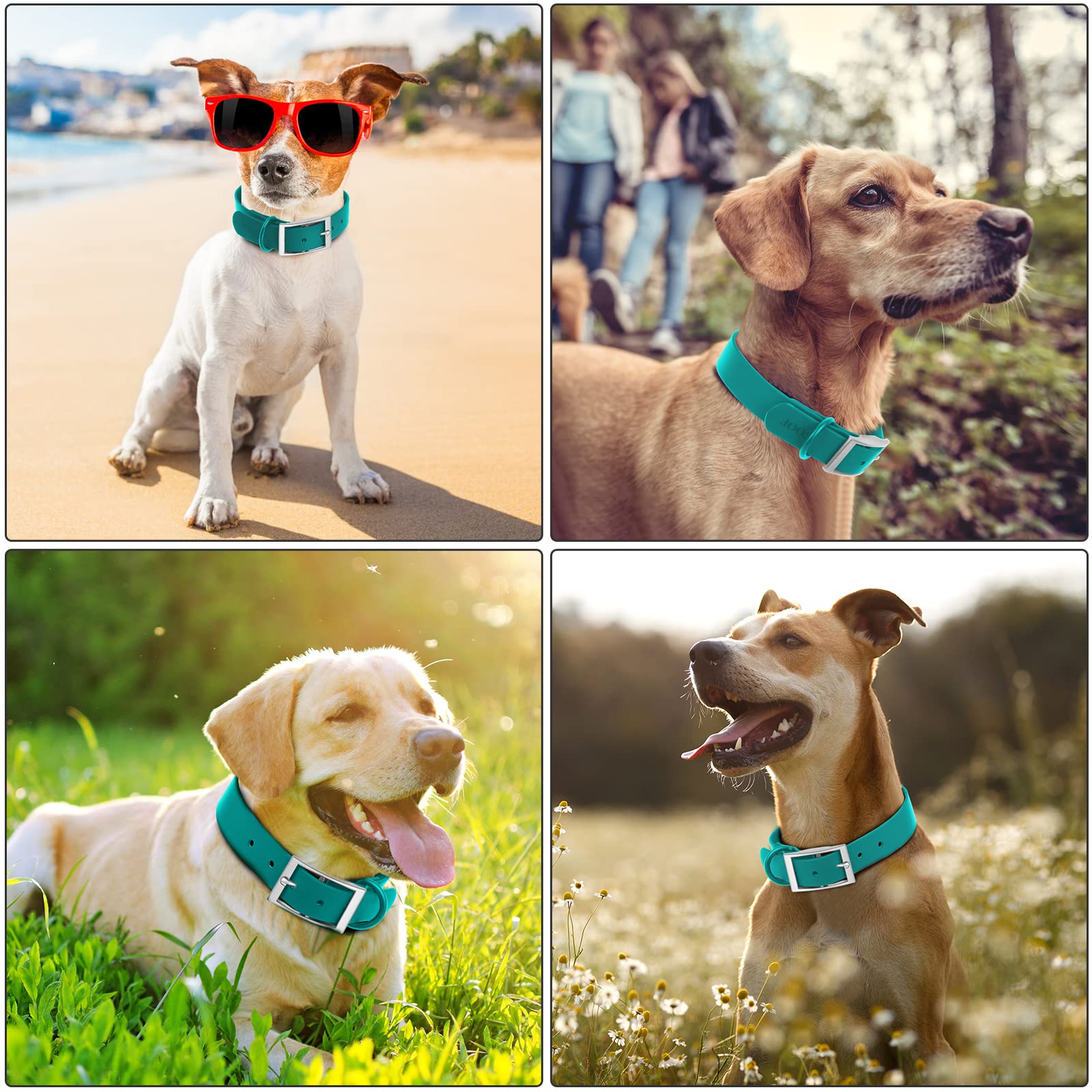 Collar Wisedog impermeable ajuste, diseño ajustable para perros de distintas tallas