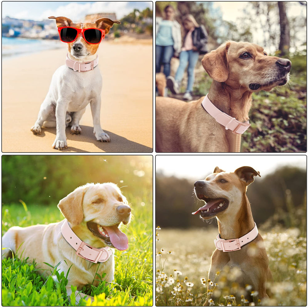 Collar Wisedog para perros medianos y grandes, cómodo y seguro