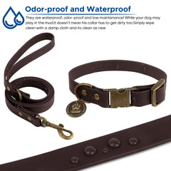 Wisedog dispensador de bolsas práctico para salidas.