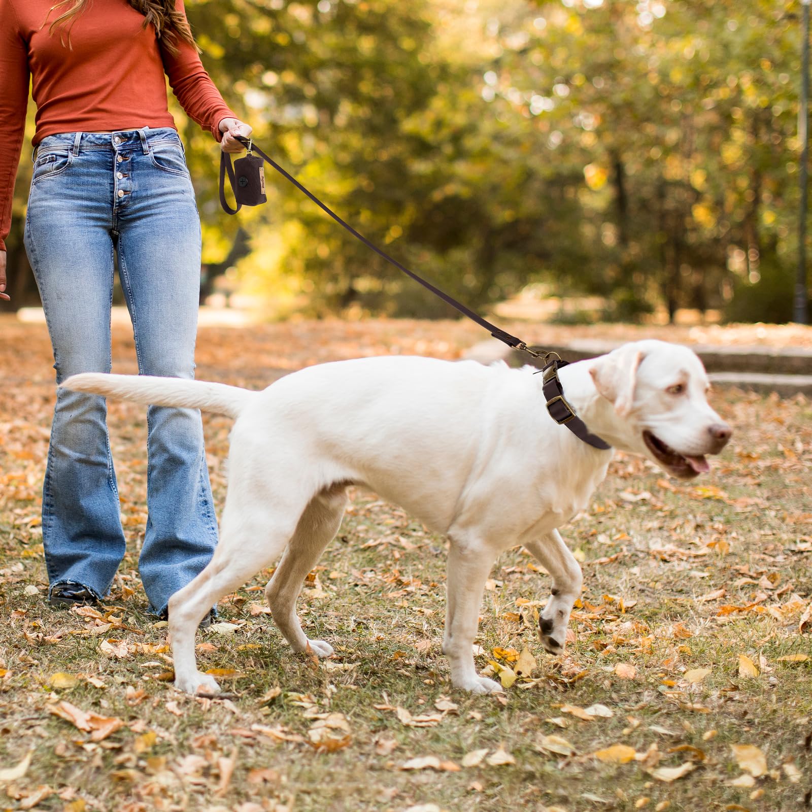 Wisedog tallas ajustables para perros de distintos tamaños.