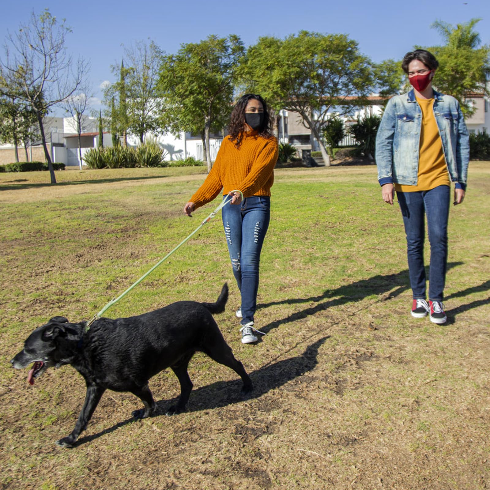 Colores disponibles de Wisedog para combinar con estilo.