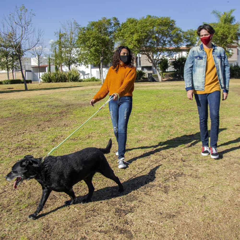 Colores disponibles de Wisedog para combinar con estilo.