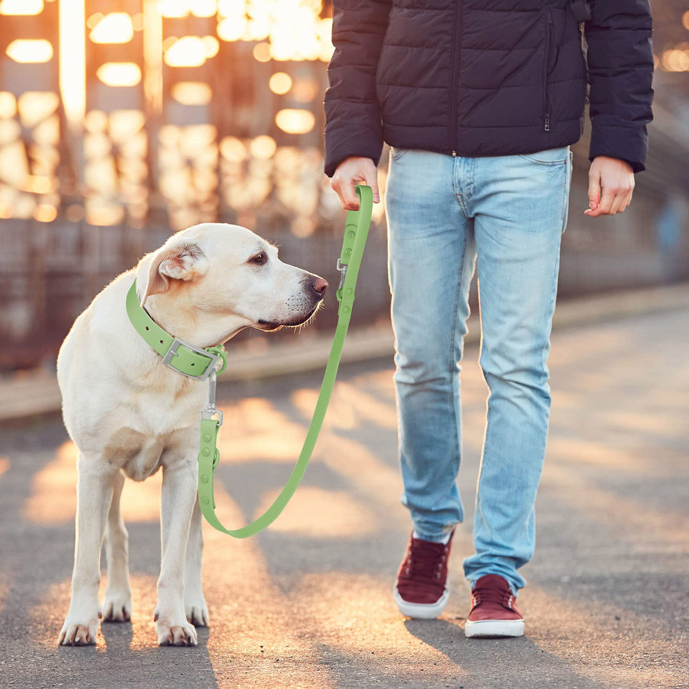 Wisedog correa-paseos-diarios-urbanos: perfecta para caminatas en la ciudad.