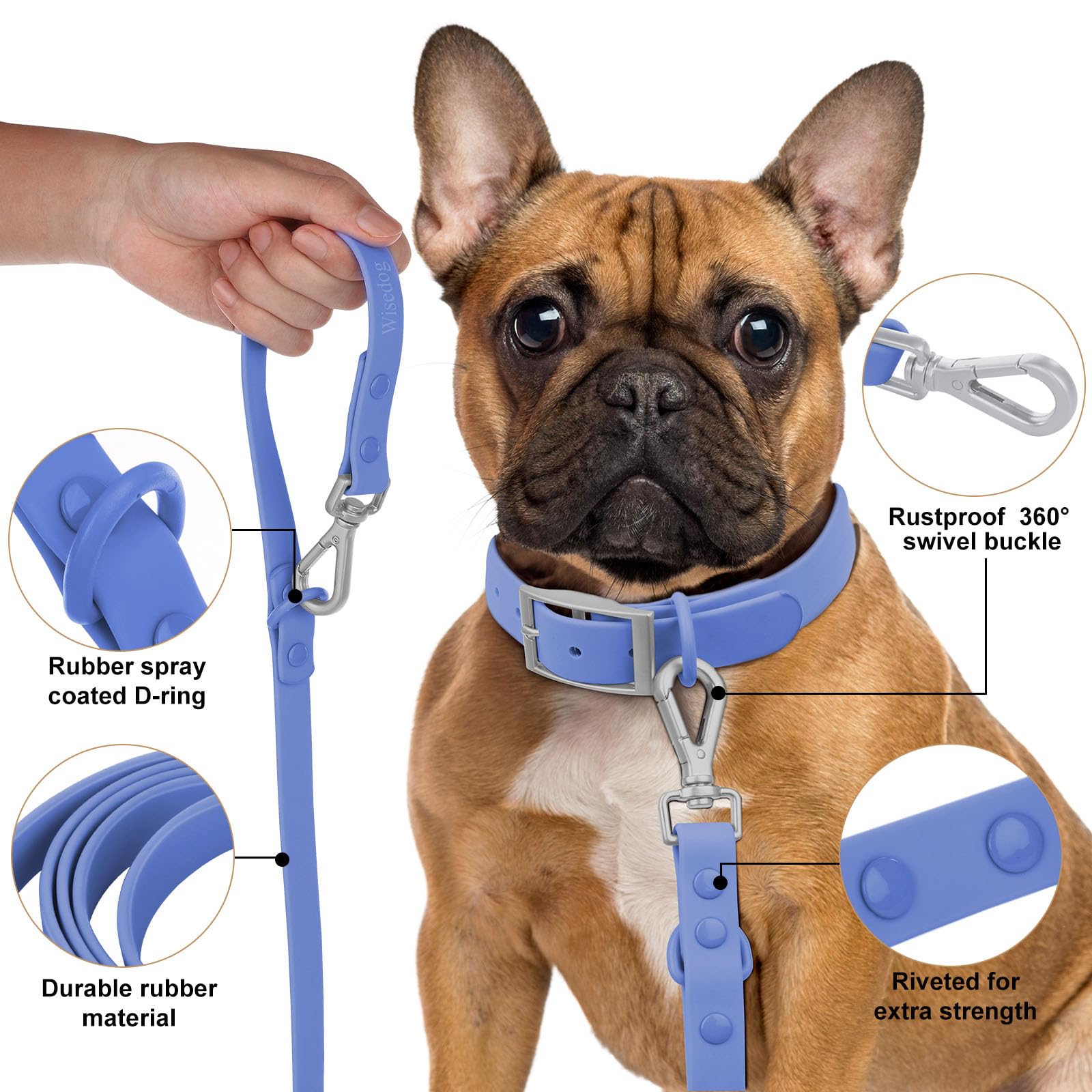Wisedog correa azul, fácil de limpiar para uso diario.
