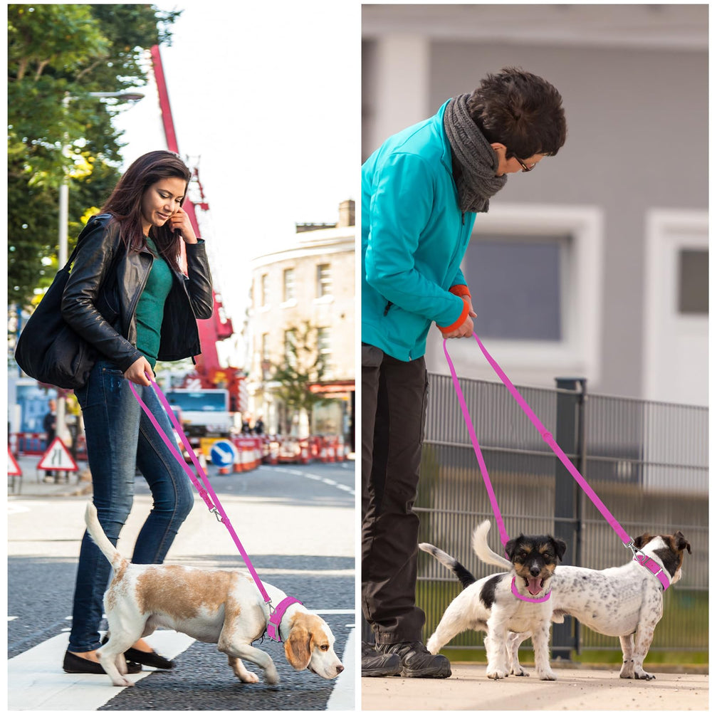 Wisedog correa impermeable rosa violeta colores disponibles para combinar con tu mascota