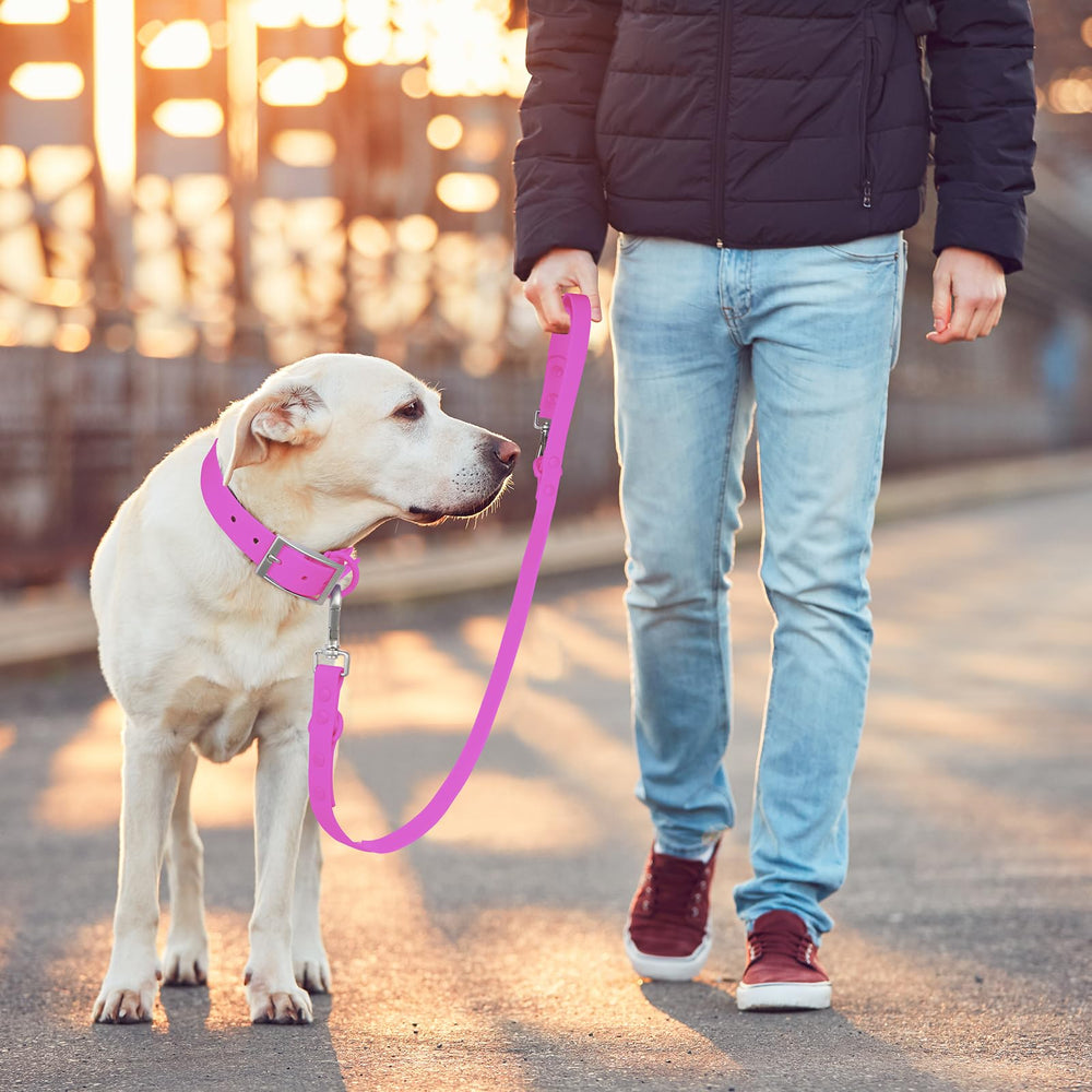 Wisedog correa impermeable rosa violeta perfecta para paseos al parque y entrenamiento ligero