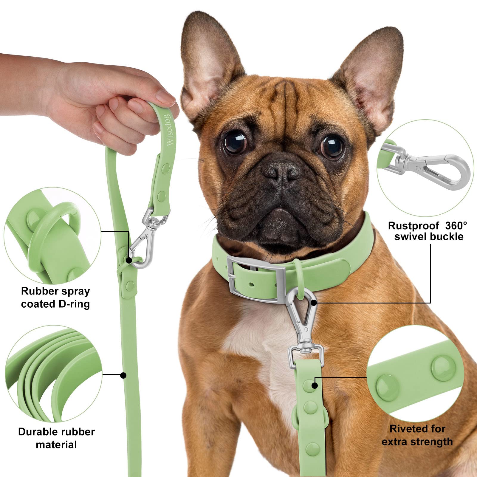 Wisedog correa-variedad-colores-verde-salvia: opciones de estilo para tu mascota.