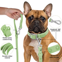 Wisedog correa-variedad-colores-verde-salvia: opciones de estilo para tu mascota.