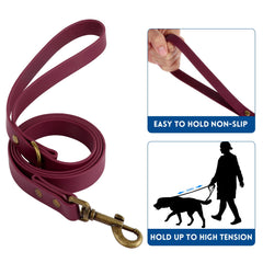 Etiqueta metálica en collar Wisedog para identificación rápida