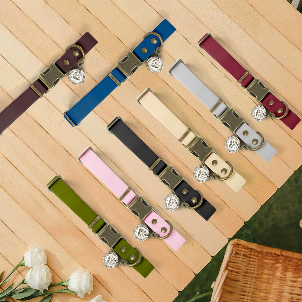 Fácil limpieza del collar Wisedog para aventuras al aire libre