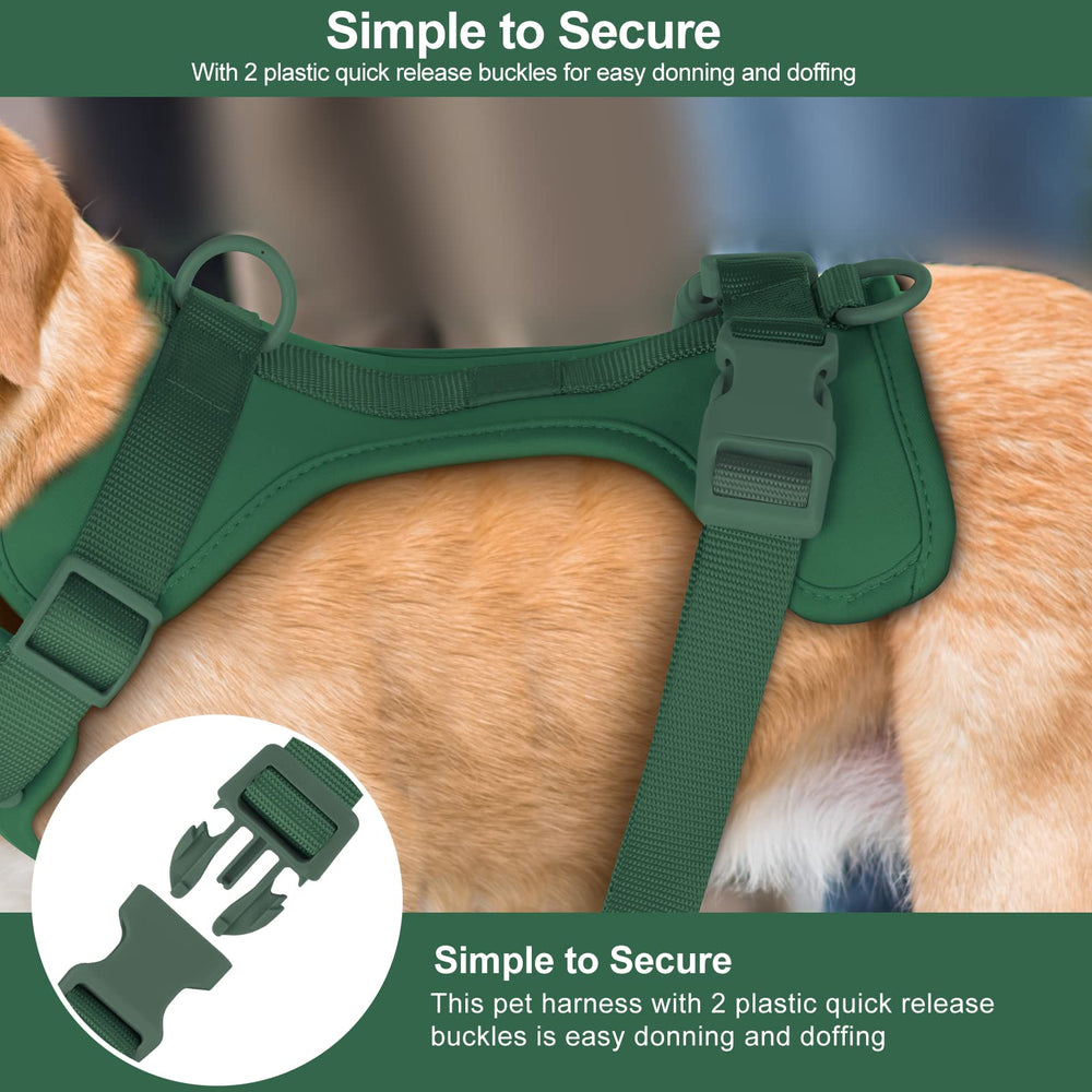 Guía de tallas de Wisedog para un ajuste perfecto.