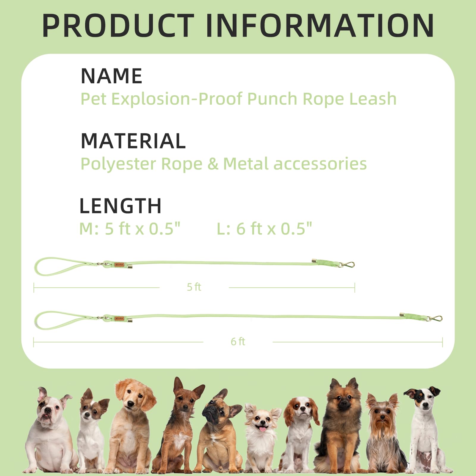 Wisedog longitud ajustable de 5 a 6 pies para libertad controlada.