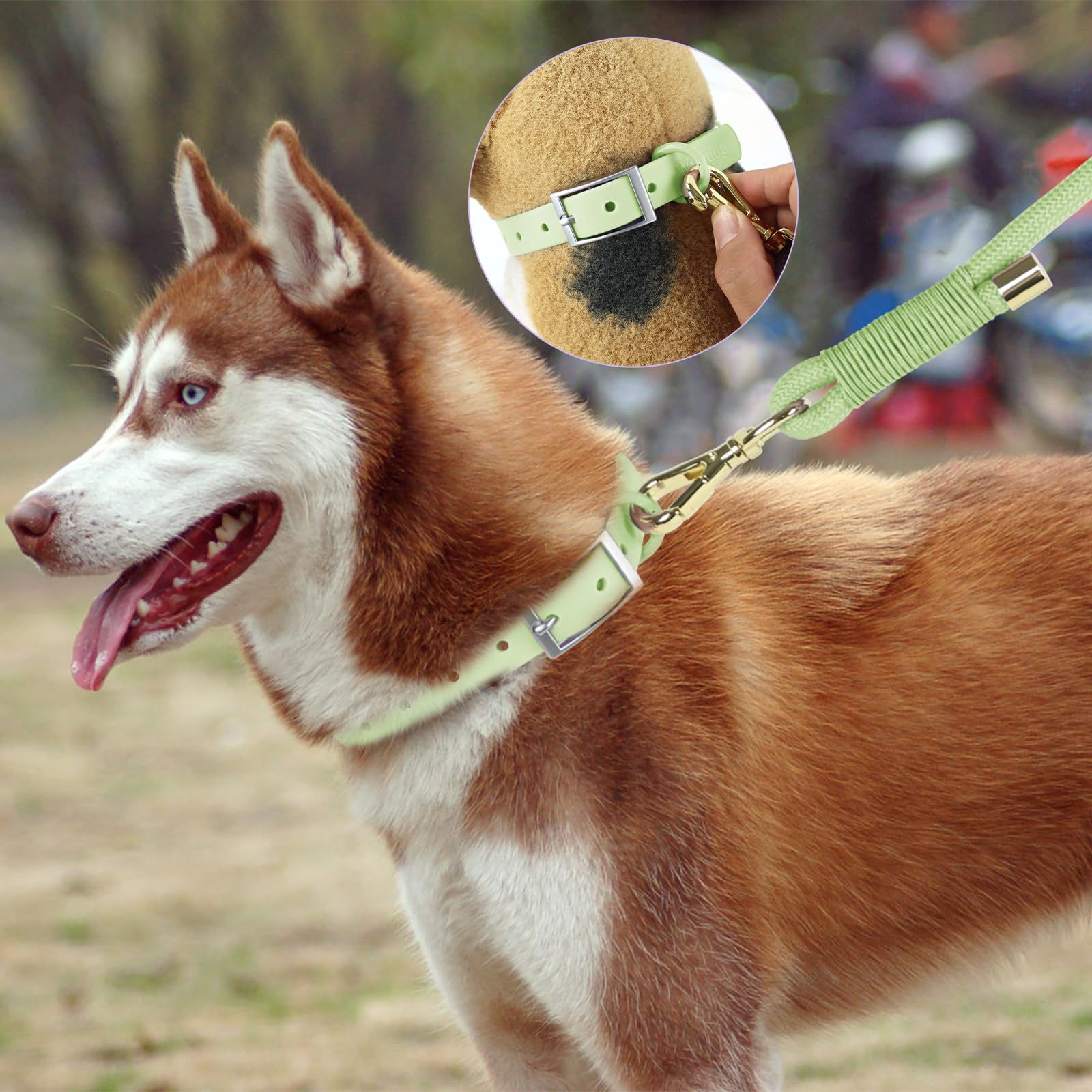 Wisedog hebilla giratoria 360° para movimientos fluidos.