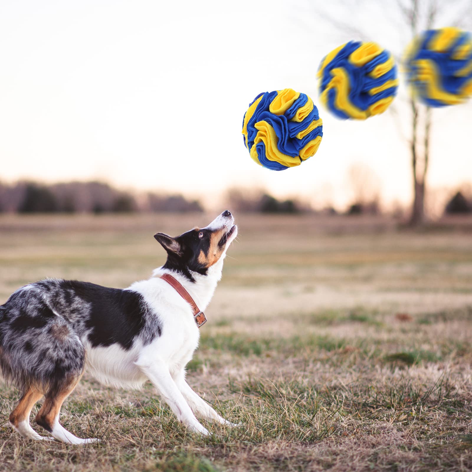 WishLotus bola de olfato: enriquecimiento diario para perros