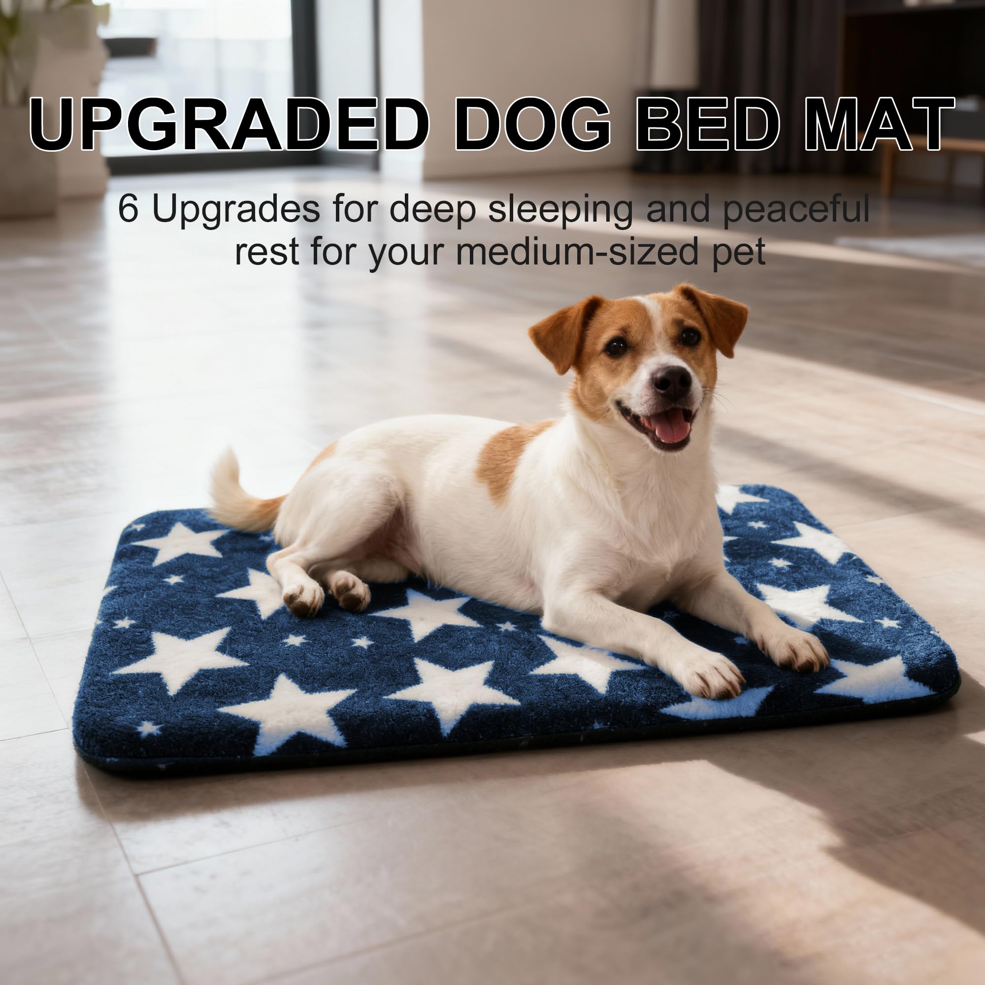 Base antideslizante Wittop para cama de perro en jaula