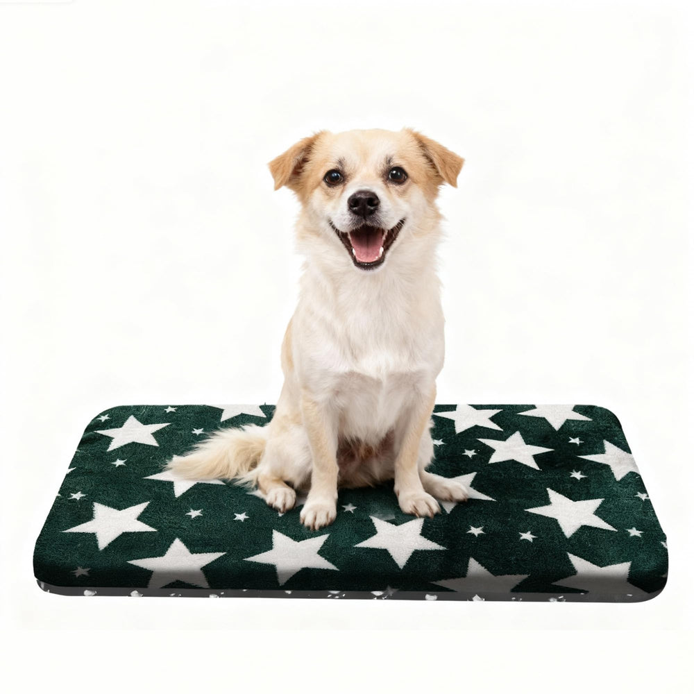 Cama para perro Wittop lavable y acolchada, ideal para descanso cómodo en casa.