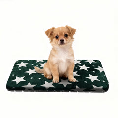 Cama Wittop para perro lavable, vista general en verde, diseño práctico.