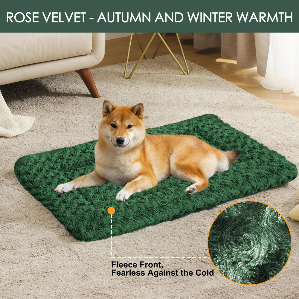 Cama Wittop tamaño grande, espacio para perros grandes