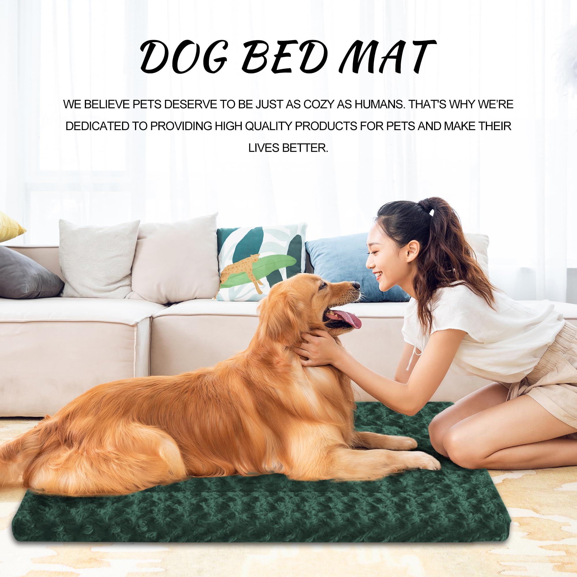Cama Wittop tamaño mediano, ajuste ideal en jaulas