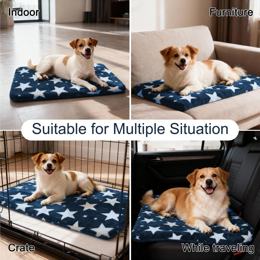 Cama Wittop talla mediana adecuada para jaula y kennel