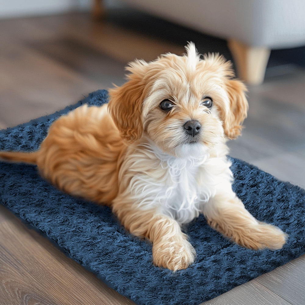 Cubrecama Wittop para mascotas, tacto suave y cómodo.