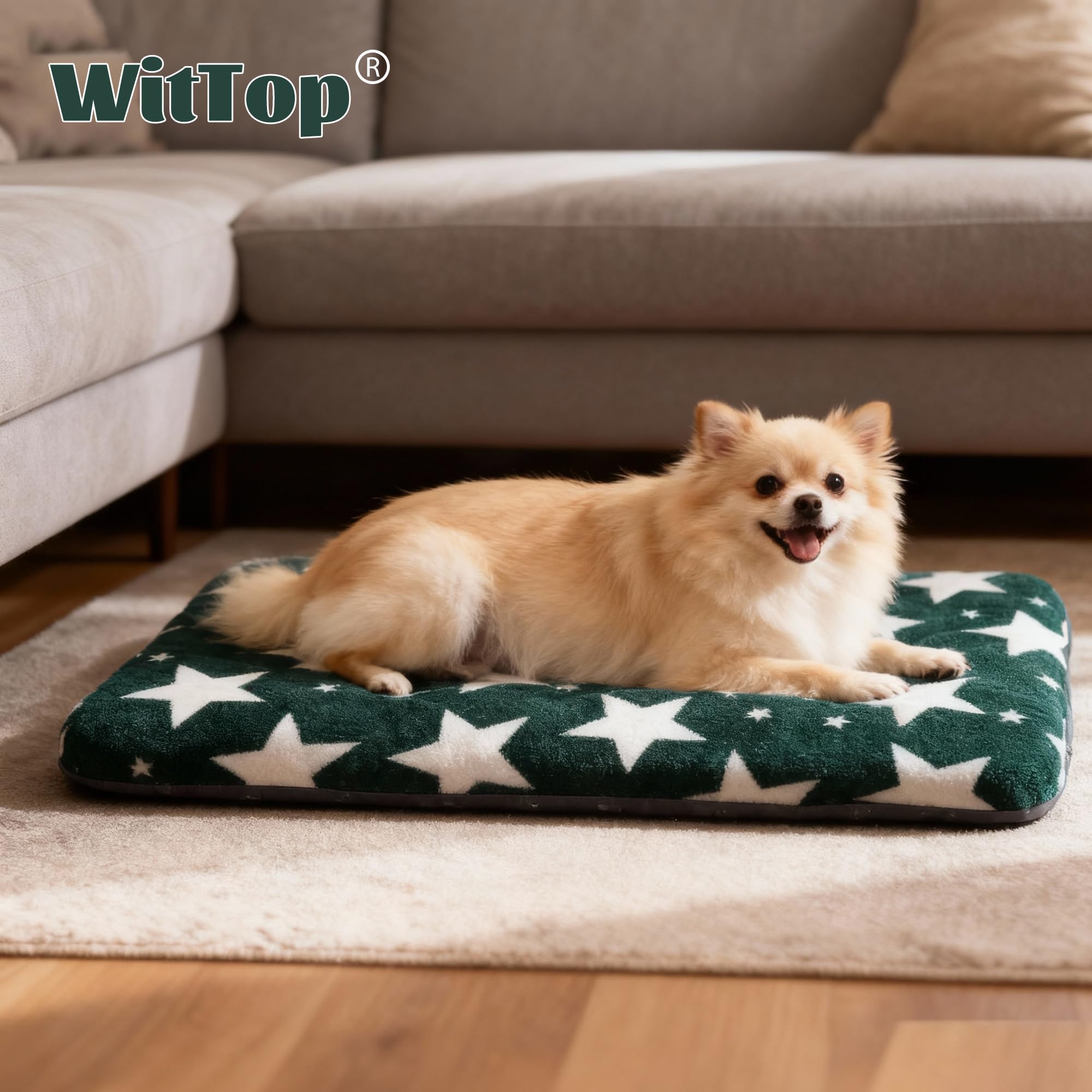 Tamaños grande, mediano y pequeño, Wittop se adapta a tu mascota.