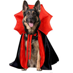 Disfraz Wiz BBQT para perros grandes, capa amplia para sesiones festivas de la Noche de Brujas