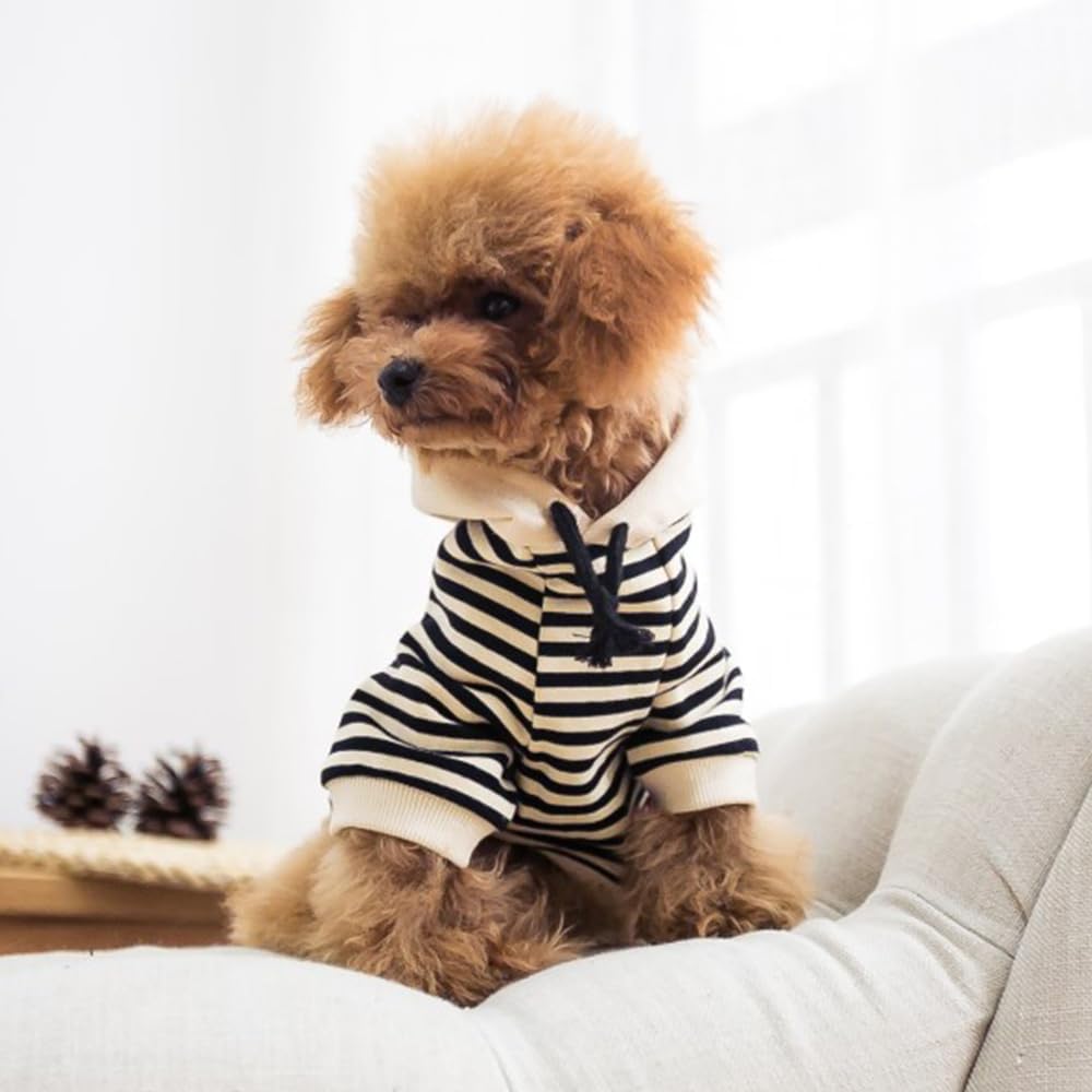 Sudadera del dueño Wiz BBQT, complemento perfecto para looks coordinados.