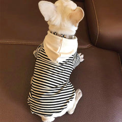 Tallas XS a 4XL para mascotas pequeñas Wiz BBQT.
