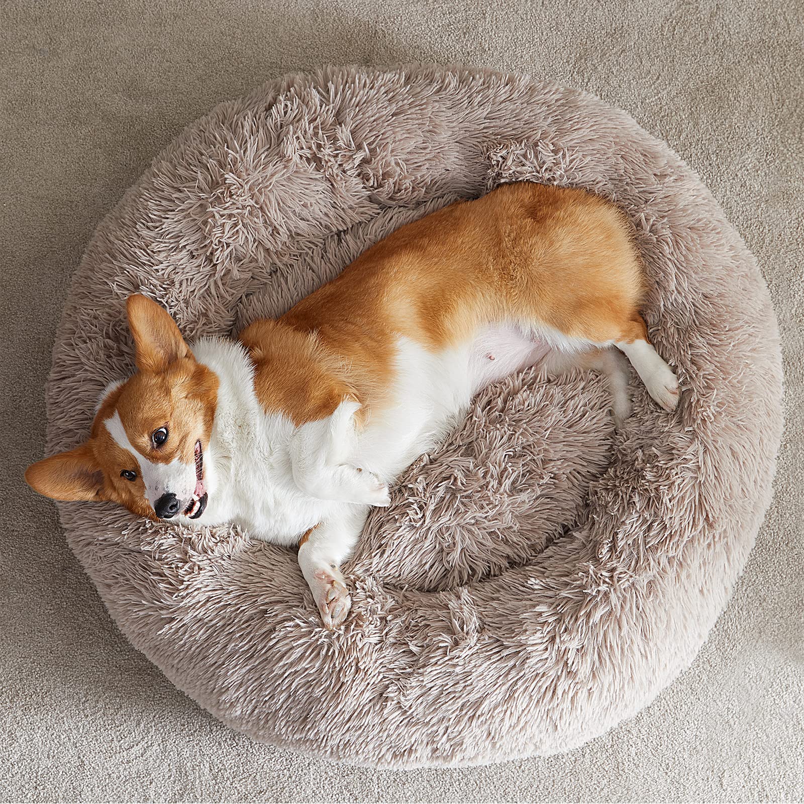 Cama dona WNPETHOME para uso hogareño y siestas cómodas.