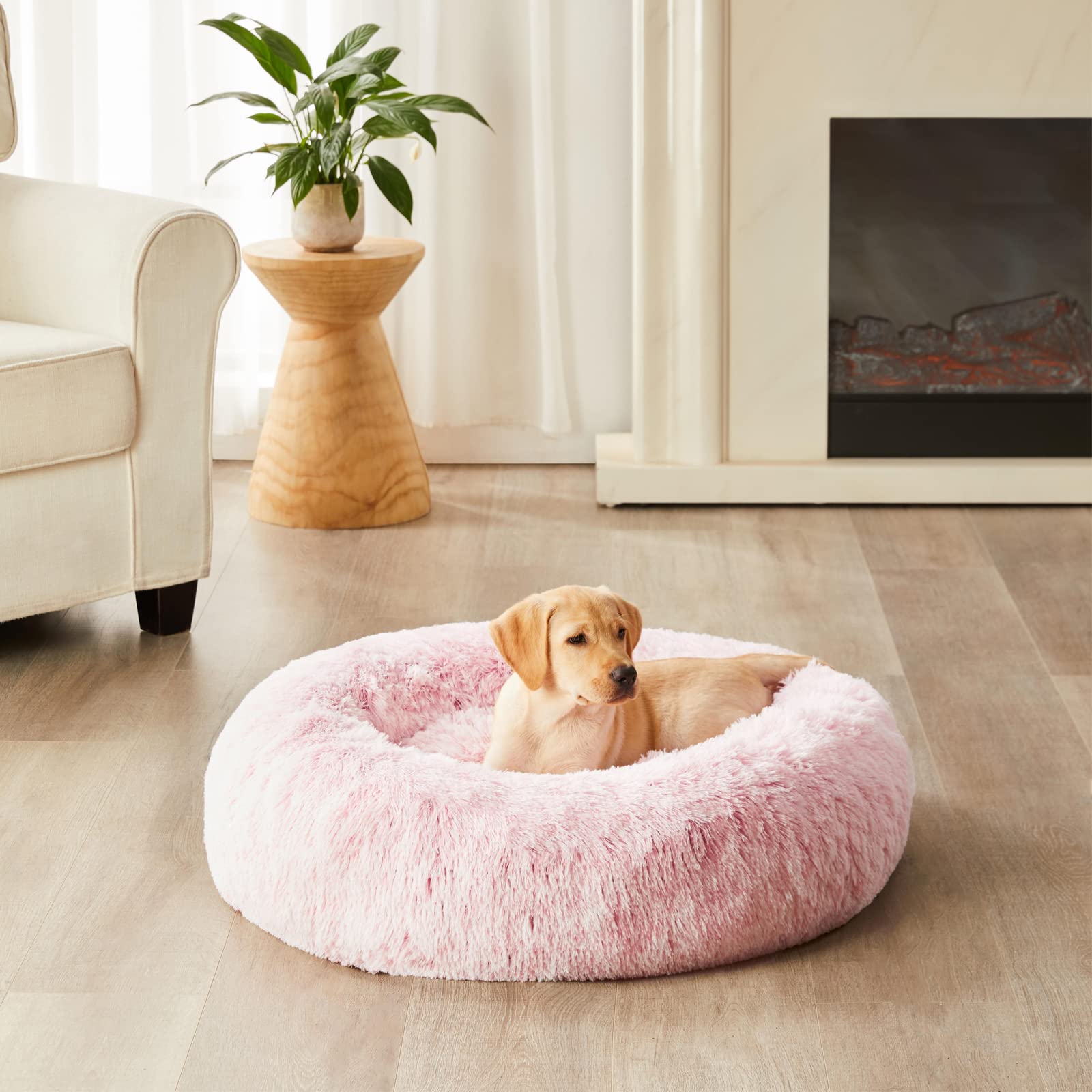 WNPETHOME cama donut rosada, relleno suave para siestas calmadas.