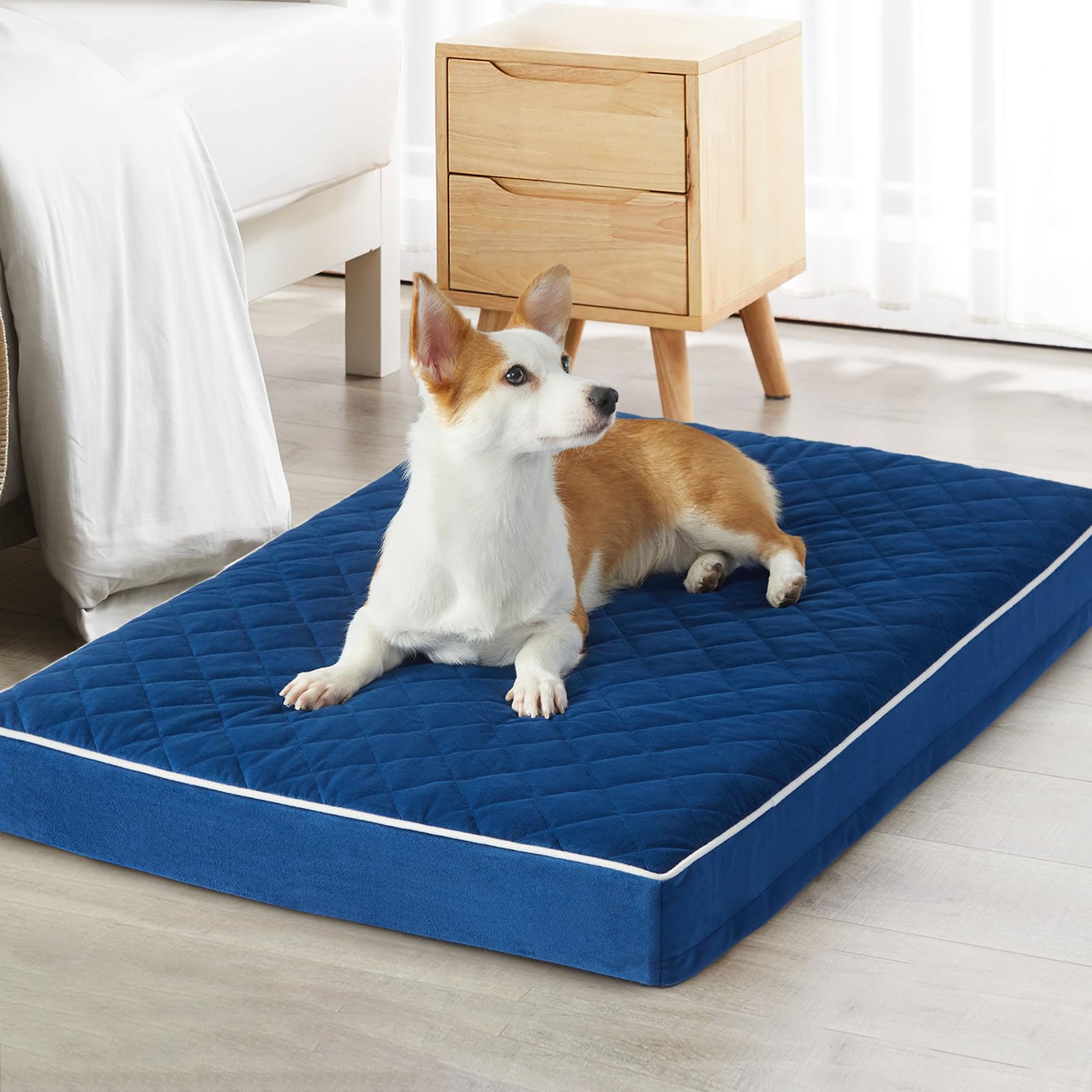 Cama ortopédica WNPETHOME XL con superficie de terciopelo suave para perros